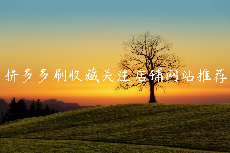 拼多多刷收藏關(guān)注店鋪網(wǎng)站推薦